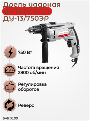 Сетевая дрель  ударная ДУ-13/750ЭР, макс. ? сверления в древесине 30 мм, 750 вт. 546.1.0.00 - фото 46776