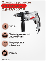 Сетевая дрель  ударная ДУ-13/750ЭР, макс. ? сверления в древесине 30 мм, 750 вт. 546.1.0.00