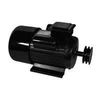 Электродвигатель Electrolite YL100L-2 3.0 1239